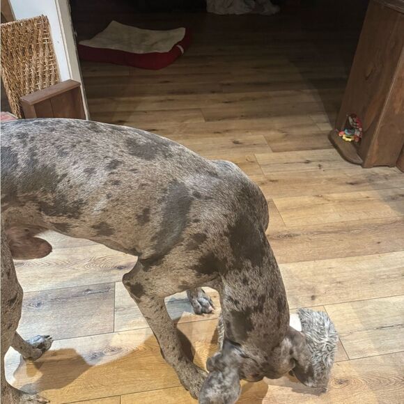 Like this listing to be notified of our lives - Picture 3 of 6